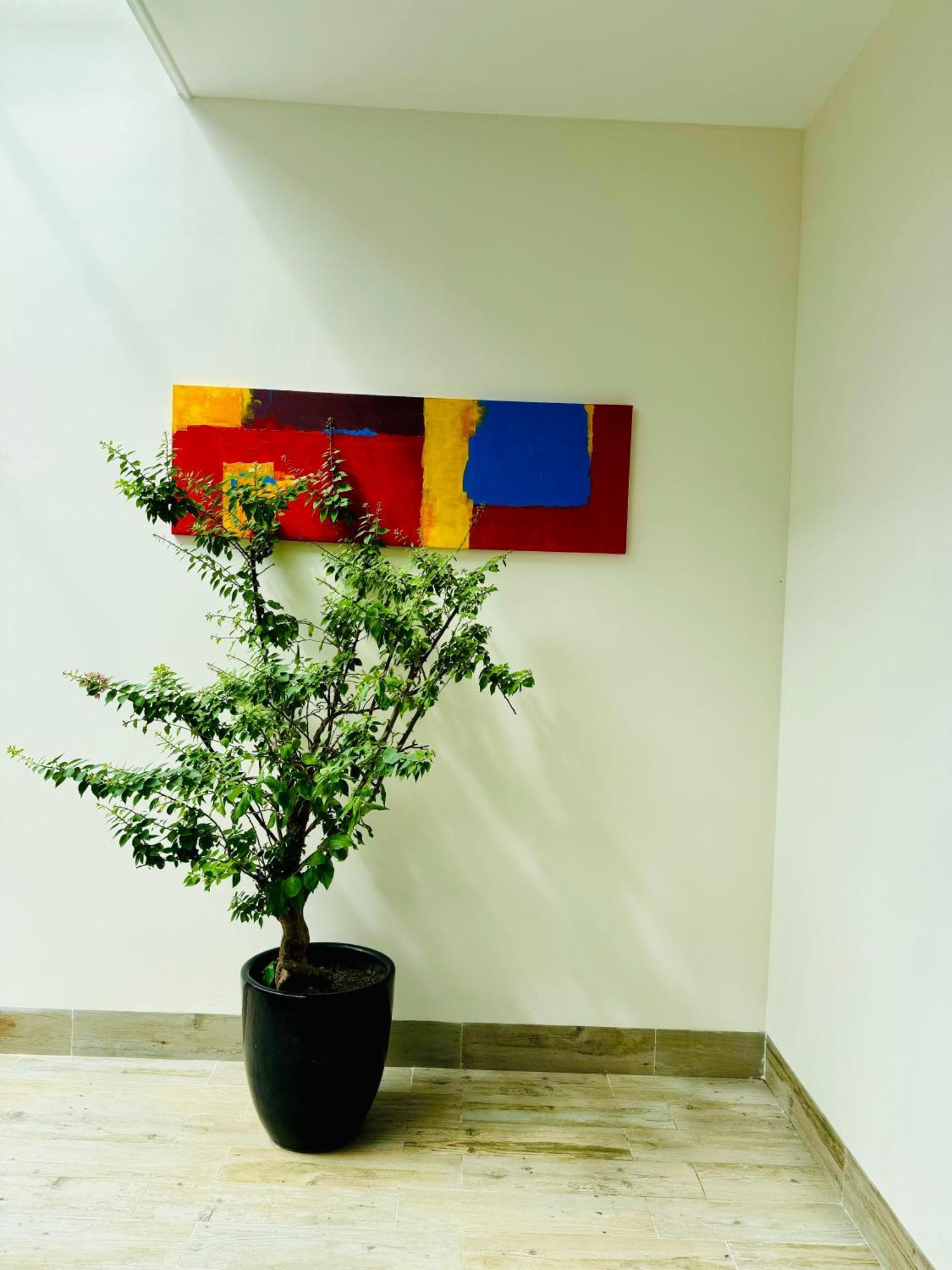 An House Hotel & Apartment Đà Nẵng Extérieur photo